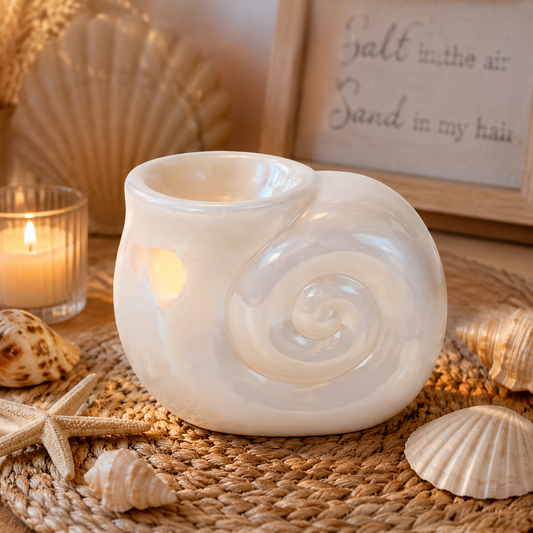 Pearly shell wax and oil burner in home with shell background theme.